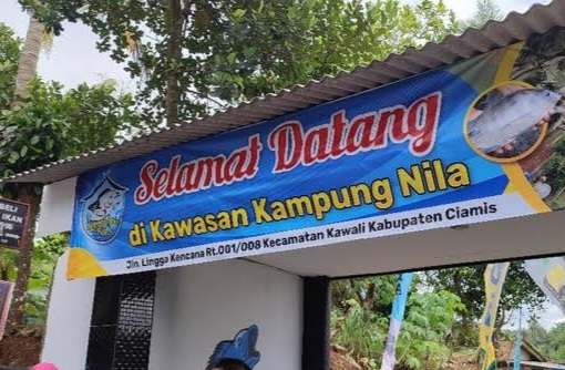 Kampung Nila Kabupaten Ciamis.