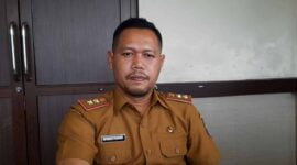 Kepala BKPSDM Ciamis, Ai Rusli Suargi.