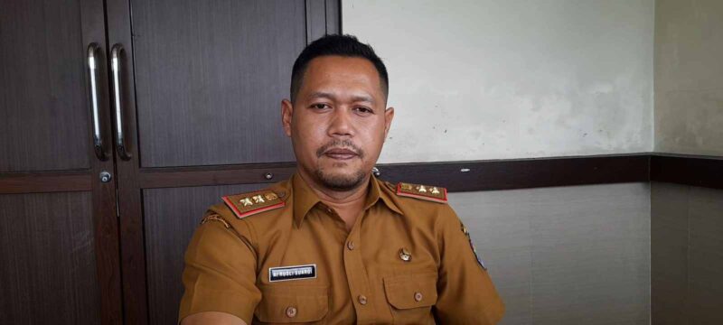 Kepala BKPSDM Ciamis, Ai Rusli Suargi.