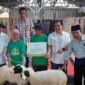 Simbolis penyerahan ekor domba dari program balai ternak Baznas Jabar.