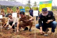 Wabup Ciamis, Yana D Putra tengah menanam bibit semangka.