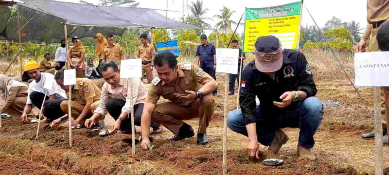 Wabup Ciamis, Yana D Putra tengah menanam bibit semangka.