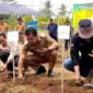 Wabup Ciamis, Yana D Putra tengah menanam bibit semangka.