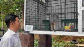Wisata Edukasi Bumi Pakarangan terletak di Kecamatan Cijeunjing, Kabupaten Ciamis.