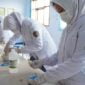 Program One Day Exploring Pharmaceutical Horizons STIKes Muhammadiyah Ciamis.