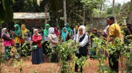 Caleg DPR RI dari Partai NasDem nomor urut 1 Dapil Jabar X (Kuningan, Ciamis, Banjar dan Pangandaran), Farahdibha Tenrilemba ketika bersama para petani di Ciamis 