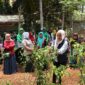 Caleg DPR RI dari Partai NasDem nomor urut 1 Dapil Jabar X (Kuningan, Ciamis, Banjar dan Pangandaran), Farahdibha Tenrilemba ketika bersama para petani di Ciamis 
