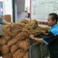 Ekspor coir net Lapas kelas IIB Ciamis ke Korea.