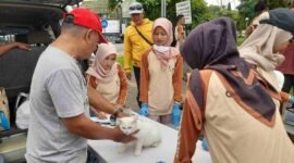 Disnakan Ciamis menggelar Pelayanan Suntik Rabies di Alun-alun Ciamis pada 12-13 Desember 2024.