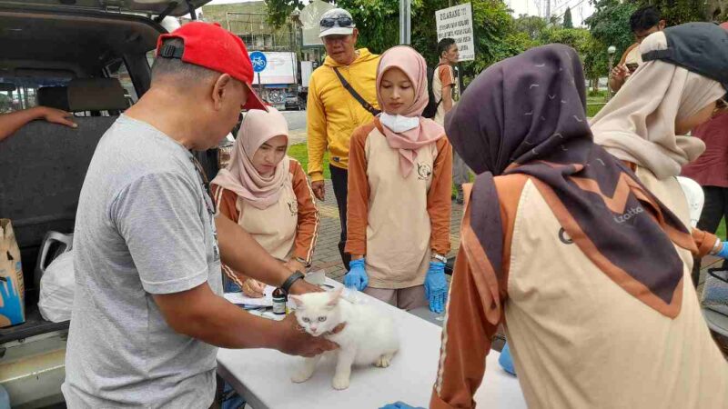 Disnakan Ciamis menggelar Pelayanan Suntik Rabies di Alun-alun Ciamis pada 12-13 Desember 2024.