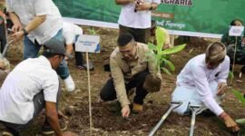 Wamen ATR/BPN tengah menanam pohon.