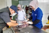 Pemeriksaan post mortem di RPH Ciamis.
