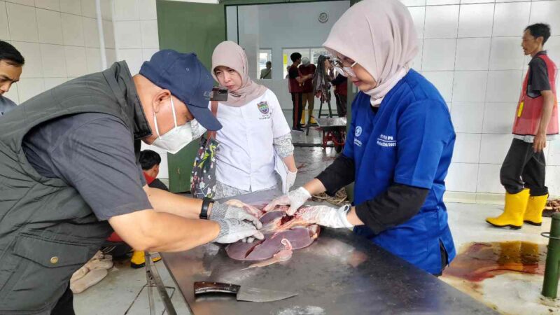 Pemeriksaan post mortem di RPH Ciamis.