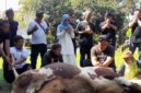 Miranti Mayangsari terlihat sedang berdoa sebelum pelaksanaan penyembelihan hewan kurban.