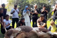 Miranti Mayangsari terlihat sedang berdoa sebelum pelaksanaan penyembelihan hewan kurban.