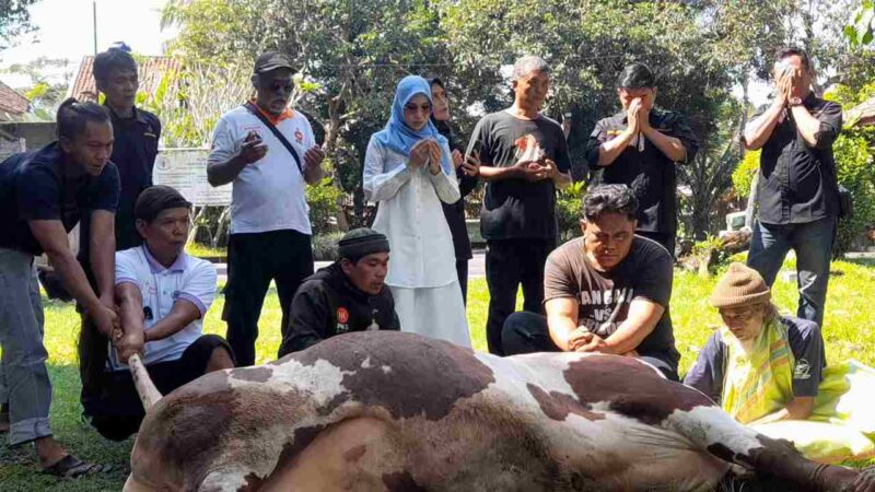 Miranti Mayangsari terlihat sedang berdoa sebelum pelaksanaan penyembelihan hewan kurban.
