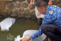 Restocking ikan nila di Situ Rancamaya.