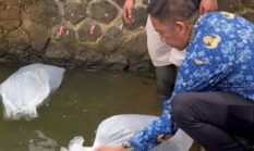 berita-pilihan-foto