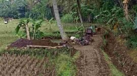 Program Percepatan Peningkatan Tata Guna Air Irigasi (P3-TGAI).