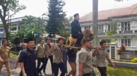 Kasatpol PP Ciamis, Raden Ega Anggara Al Kautsar diarak menggunakan sisingaan.