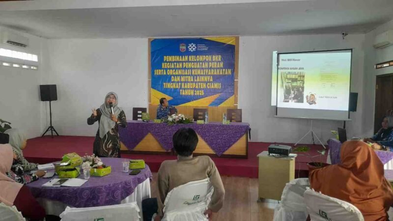 Pembinaan Kelompok Bina Keluarga Remaja (BKR).