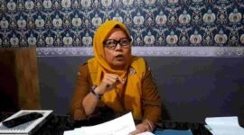 Kabid Industri DKUKMP Ciamis, Dini Kusliani.