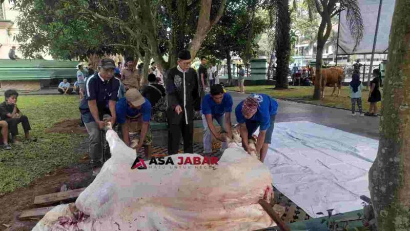 Ketua Panitia penyembelihan hewan kurban Masjid Agung Ciamis, H. Kurnia tengah meninjau pemotongan hewan kurban.