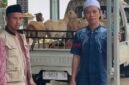 Sebanyak 10 ekor domba bunting diserahkan kepada penerima manfaat.