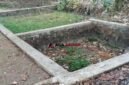 Kolam yang biasanya penuh air dan kehidupan kini mengering dan ditumbuhi rumput liar.