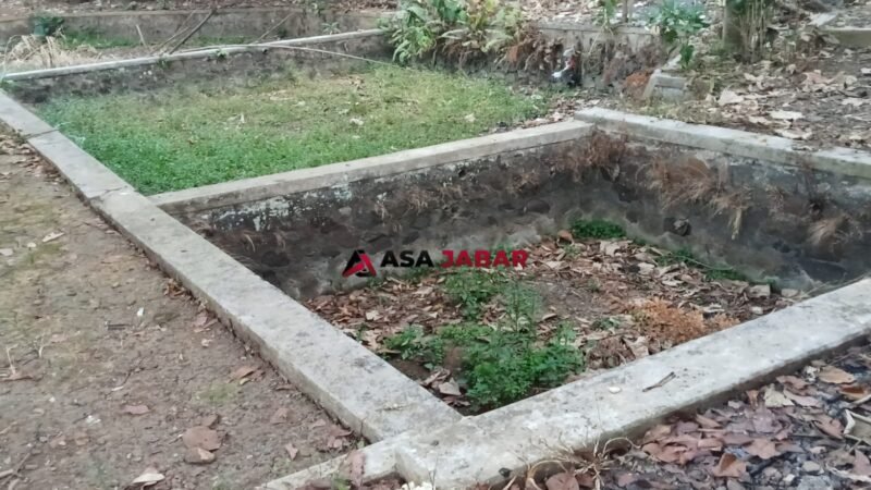 Kolam yang biasanya penuh air dan kehidupan kini mengering dan ditumbuhi rumput liar.