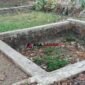 Kolam yang biasanya penuh air dan kehidupan kini mengering dan ditumbuhi rumput liar.